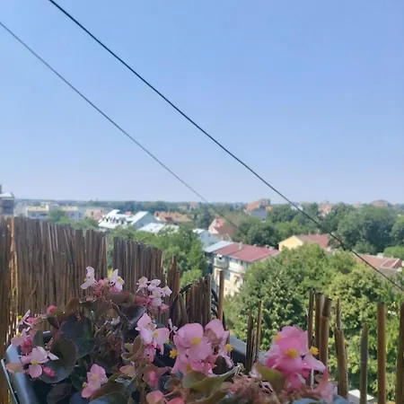 Sunshine Pancevo